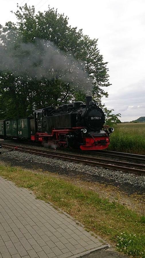 Wowi B 53 Dranske